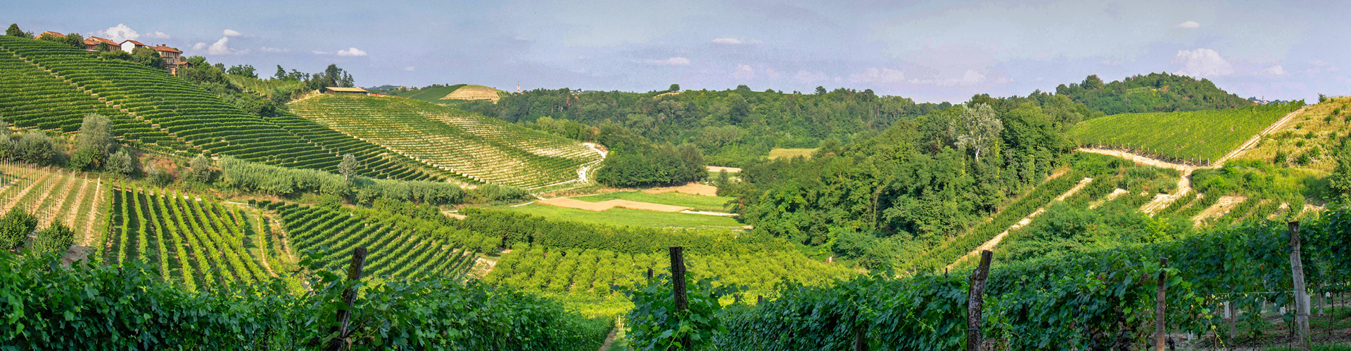 lorem ipsum dolor sit