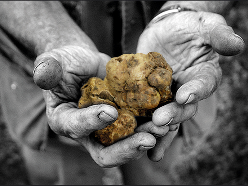Mani Tartufo